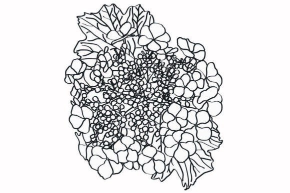 Decorative Flower: A Versatile Design Asset for Creative Projects