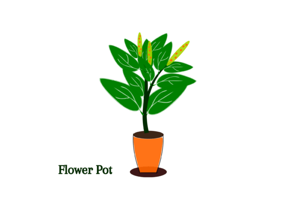 Decorative Plants Flower Pot