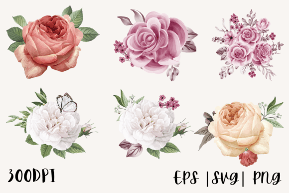 Decorative Watercolor Roses PNG Bundle