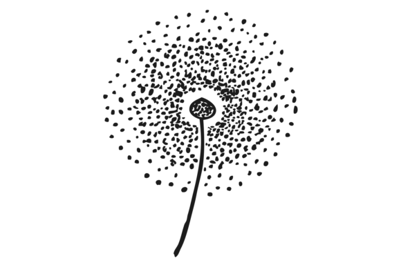 The Artistic Allure of a Decorative Dandelion Sketch: From Hand-Drawn Ink to Digital Assets