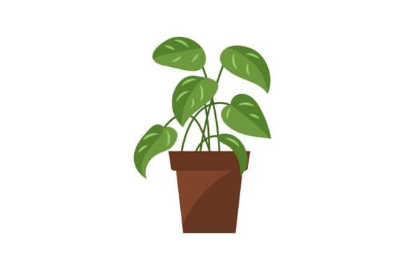 The Strategic Integration of Potted Decorative Houseplants for Interior Design in Contemporary Environments