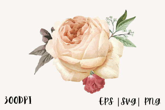 Unlocking Creativity: The Ultimate Guide to Decorative Watercolor Rose Illustrations for DIY Projects